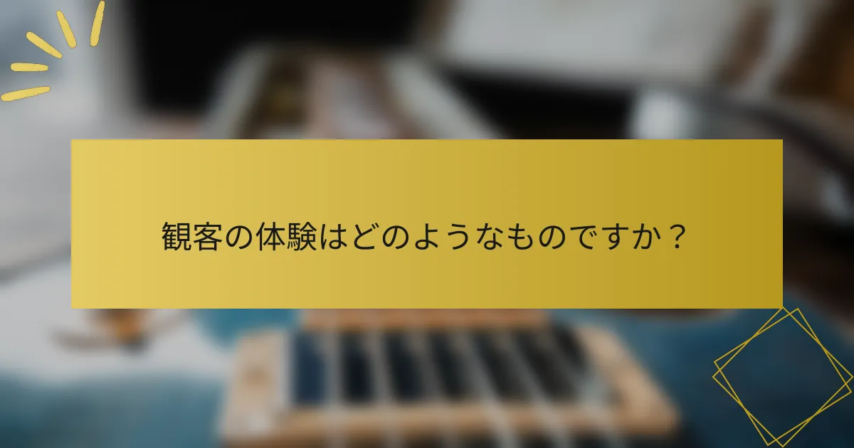観客の体験はどのようなものですか？